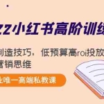 (4119期)2022小红书高阶训练营:爆文制造技巧,低预算高roi投放技巧,内容营销思维
