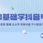 (4112期)0基础学抖音电商【更新】短视频 直播 企业号 剪映功能 千川投放 抖音小店等