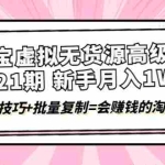 (4108期)淘宝虚拟无货源高级班【第21期】月入1W+运营技巧+批量复制=会赚钱的淘宝店