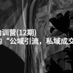 (4103期)新媒体IP内训营(12期),一套全新的“公域引流,私域成交”IP打法,直接带走