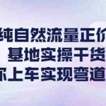 (4075期)0粉纯自然流量正价起号基地实操干货,带你上车实现弯道超车