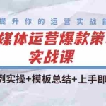 (4070期)全媒体运营爆款策划实战课:案例实操+模板总结+上手即用(111节课时)