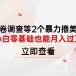 (4062期)国外问卷调查等2个暴力撸美金项目,小白零基础也能月入过万