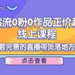 (4036期)自然流0粉0作品正价起号线上课程:一套完善的直播带货落地方案