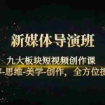 (4035期)新媒体导演班:九大板块短视频创作课,内容-思维-美学-创作,全方位提升