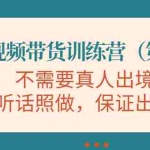 (4015期)短视频带货训练营(第11期),不需要真人出境,听话照做,保证出单
