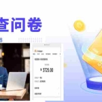 (4010期)跨境问卷项目,操作简单一天稳定100美刀,每个月能挣1-3W