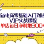 (3991期)闲鱼电商零基础入门到进阶VIP实战课程,单店每日净利增300+(37节课)