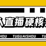 (3980期)大飞无人直播硬核爆单技术,轻松玩转无人直播,暴利躺赚