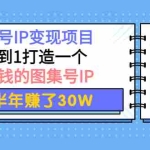 (3972期)图集号IP变现项目:从0到1打造一个能赚钱的图集号IP 半年赚了30W