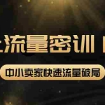 (3962期)2022秋秋线上流量密训16.0:包含 暴力引流10W+中小卖家流量破局技巧 等等!