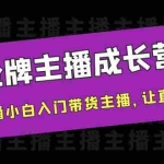 (3953期)金牌主播成长营,一周从直播小白入门带货主播,让直播更简单