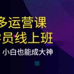 (3929期)拼多多运营课:超级学员线上班,21天蜕变,小白也能成大神