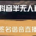 (3913期)最近火爆的抖音头像签名设计半无人直播直播项目:直播教程+素材+直播话术