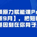 (3888期)短视频原力赋能课Pro【更新9月】,把短视频能力基因刻在你骨子里的课