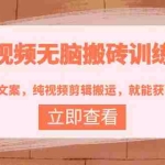 (3878期)中视频无脑搬砖训练营:无需写文案,纯视频剪辑搬运,就能获取收益!