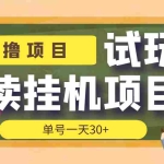 (3863期)【偷撸项目】外面收费998的试玩阅读协议挂机项目 单号一天30+【脚本+教程】