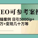 (3834期)《全网SEO可参考案例库》几十个实操案例 日引5000ip+涨粉百W+变现几十W等!