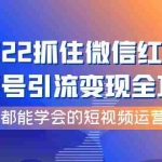 (3820期)2022抓住微信红利,视频号引流变现全攻略,人人都能学会的短视频运营玩法
