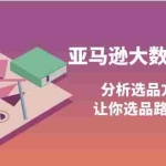 (3803期)亚马逊大数据选品课:分析选品方法技巧,让你选品路上无烦恼