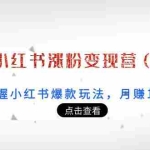 (3795期)21天小红书涨粉变现营(第3期):带你掌握小红书爆款玩法,月赚10W+秘密