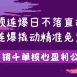 (3786期)视频连爆日不落直播间,视频连爆撬动精准免费流量,日销千单核心盈利公式