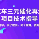 （3746期）汽车三元催化再生项目技术指导，简单易学，学了就会，会了能赚，很好赚！