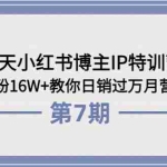 (3745期)28天小红书博主IP特训营《第6+7期》4个月涨粉16W+教你日销过万月营收30万