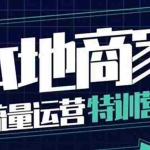 (3731期)本地商家流量运营特训营,四大板块30节,本地实体商家必看课程