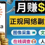 (3711期)正规网络副业赚钱平台Toloka,利用业余时间月赚150美元