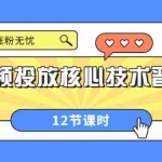 (3699期)短视频投放核心技术晋级课:掌握投放,涨粉无忧(12节课时)