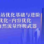 (3682期)外贸独立站优化基础与进阶,seo优化+内容优化+引爆自然流量终极武器