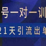 (3678期)视频号训练营:带货,涨粉,直播,游戏,四大变现新方向,21天引流出单