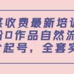 (3648期)某收费最新培训:0粉0作品自然流量+正价起号,全套实操课!