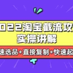 (3626期)2022淘宝截流攻略实操讲解:快速选品+直接复制+快速起店