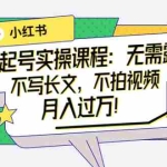 (3613期)小红书0粉起号实操课程:无需露脸,不写长文,不拍视频月入过万!