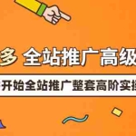 (3605期)拼多多全站推广高级实操:从破零开始全站推广整套高阶实操玩法