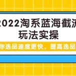 (3601期)2022淘系蓝海截流玩法实操:让你选品速度更快,提高选品质量