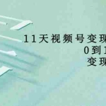 (3595期)11天视频号变现训练营,从0到1打造变现赚钱系统