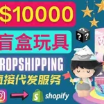 (3544期)Dropshipping+ Shopify推广玩具盲盒赚钱:每单利润率30%, 月赚1万美元以上