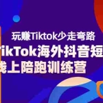 (3509期)TikTok海外抖音短视频线上陪跑训练营,玩赚Tiktok少走弯路