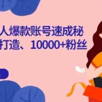 （3508期）小红书个人爆款账号速成秘籍，爆款打造、10000+粉丝引流秘诀