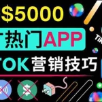 (3486期)无需露脸,无需录音,无需投资,TIKTOK上传短视频,最高日入5000美元