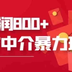 (3478期)网贷中介暴利赚钱项目,只要愿意花时间去做,一天收入800+没问题