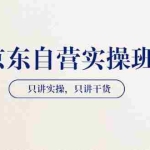 (3467期)【京东自营实操班】只讲实操,只讲干货(28小时课程-共2期)