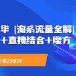 （3458期）流量嘉年华 [淘系流量全解]系列课：免费流量+直搜结合+魔方（价值2980）