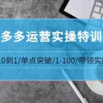 (3417期)青云:拼多多运营实操特训营:从0到1/单点突破/1-100/带领实操