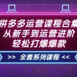(3415期)拼多多运营课程合集:从新手到运营进阶,轻松打爆爆款(全套系统课程)