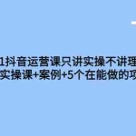 (3407期)从0-1抖音运营课只讲实操不讲理论:21节实操课+案例+5个在能做的项目