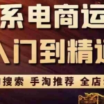 (3371期)淘系电商入门到精通 手淘搜索,手淘推荐,全店动销